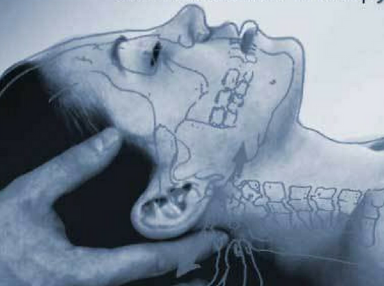 cranial-cranio-sacral-therapy